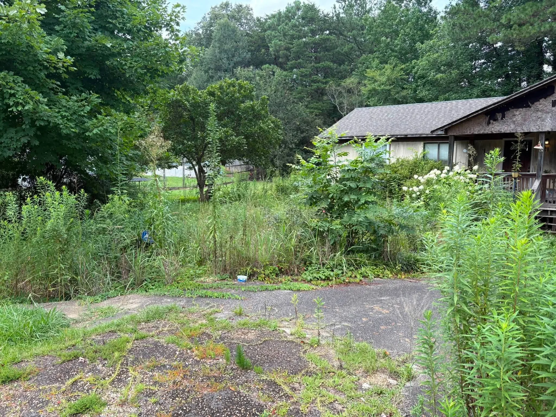 Property before cleanup work